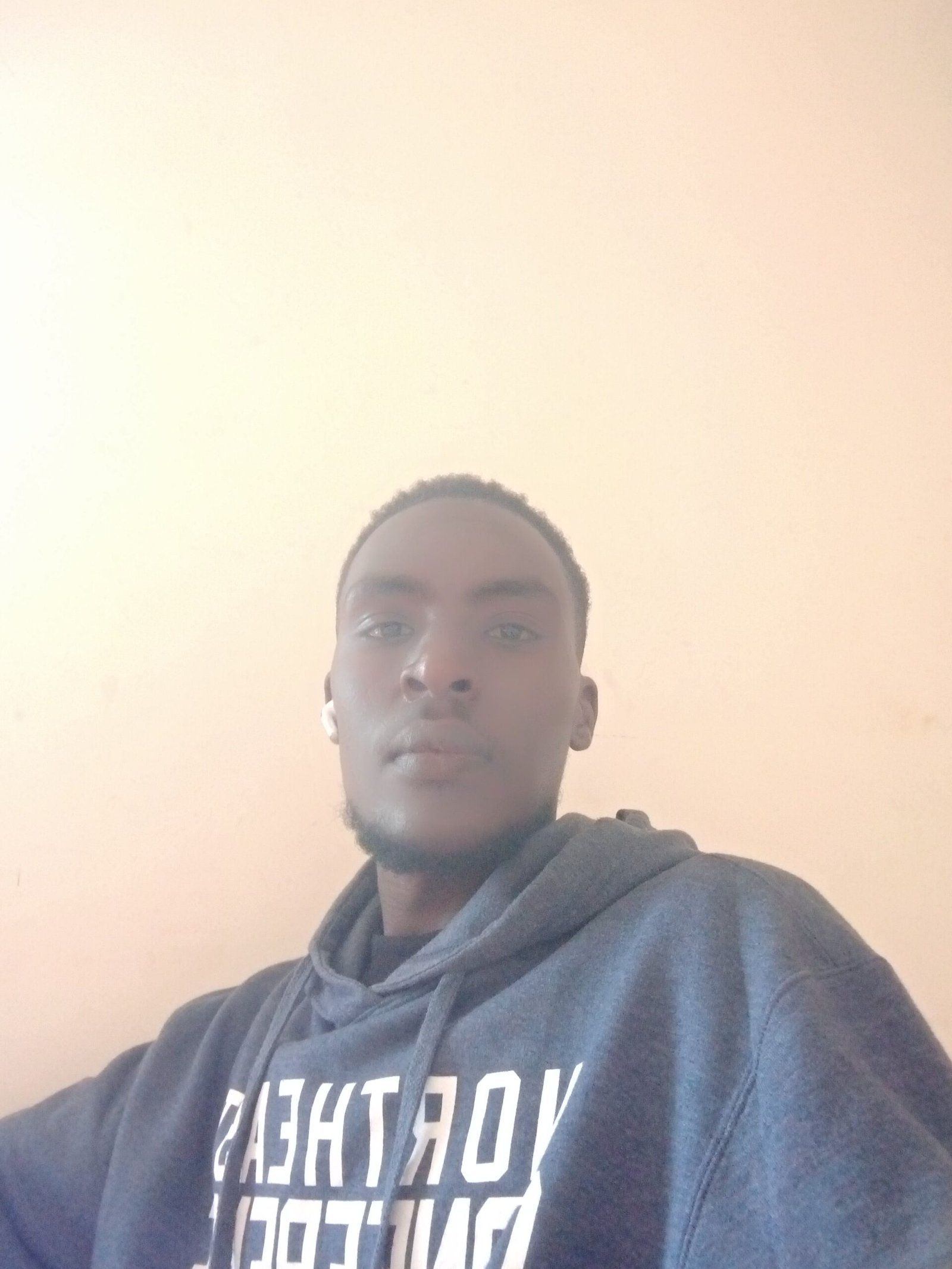 17090I will provide professional writing and translation services