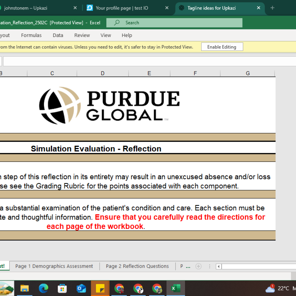 22313I will do academic writing